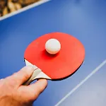 Maison 3 Etoiles Entre Pistes Et Centre-ville, Billiard, Ping-pong, Ps3, Cheminee, Bbq, Animaux Admis Ла-Бресс