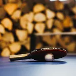 Дом отдыха Maison 3 Etoiles Entre Pistes Et Centre-ville, Billiard, Ping-pong, Ps3, Cheminee, Bbq, Animaux Admis *
