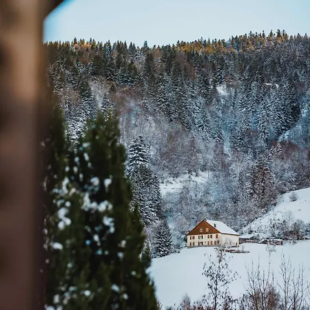 Prázdninový dům Maison 3 Etoiles Entre Pistes Et Centre-ville, Billiard, Ping-pong, Ps3, Cheminee, Bbq, Animaux Admis La Bresse
