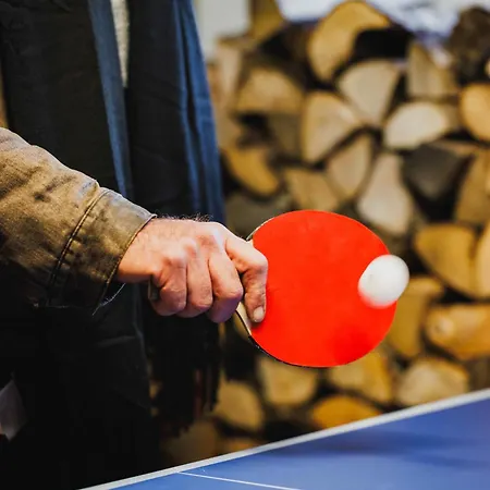 Prázdninový dům Maison 3 Etoiles Entre Pistes Et Centre-ville, Billiard, Ping-pong, Ps3, Cheminee, Bbq, Animaux Admis La Bresse