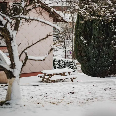 Maison 3 Etoiles Entre Pistes Et Centre-ville, Billiard, Ping-pong, Ps3, Cheminee, Bbq, Animaux Admis Prázdninový dům *