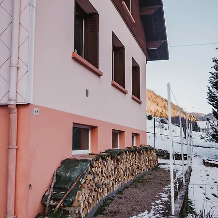 Prázdninový dům Maison 3 Etoiles Entre Pistes Et Centre-ville, Billiard, Ping-pong, Ps3, Cheminee, Bbq, Animaux Admis *