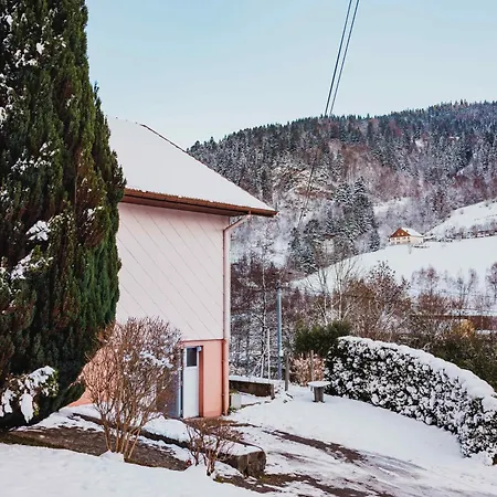 Maison 3 Etoiles Entre Pistes Et Centre-ville, Billiard, Ping-pong, Ps3, Cheminee, Bbq, Animaux Admis Prázdninový dům