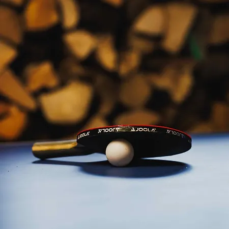 Maison 3 Etoiles Entre Pistes Et Centre-ville, Billiard, Ping-pong, Ps3, Cheminee, Bbq, Animaux Admis Prázdninový dům
