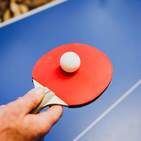 Maison 3 Etoiles Entre Pistes Et Centre-ville, Billiard, Ping-pong, Ps3, Cheminee, Bbq, Animaux Admis La Bresse