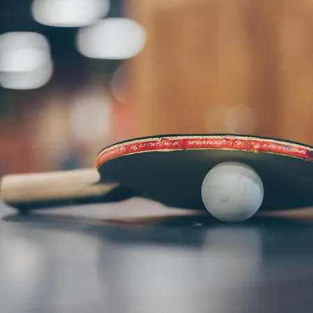 Prázdninový dům Maison 3 Etoiles Entre Pistes Et Centre-ville, Billiard, Ping-pong, Ps3, Cheminee, Bbq, Animaux Admis