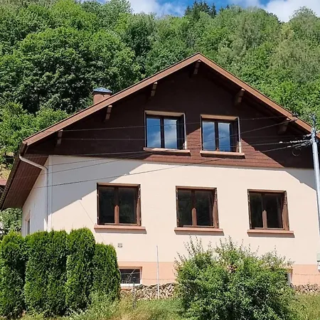 Maison 3 Etoiles Entre Pistes Et Centre-ville, Billiard, Ping-pong, Ps3, Cheminee, Bbq, Animaux Admis Prázdninový dům La Bresse