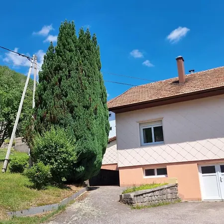 Maison 3 Etoiles Entre Pistes Et Centre-ville, Billiard, Ping-pong, Ps3, Cheminee, Bbq, Animaux Admis La Bresse