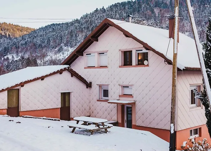 Maison 3 Etoiles Entre Pistes Et Centre-ville, Billiard, Ping-pong, Ps3, Cheminee, Bbq, Animaux Admis Holiday home