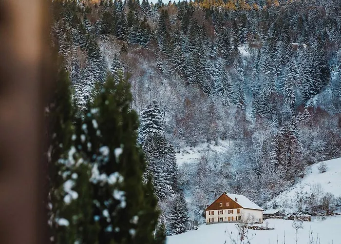 Holiday home Maison 3 Etoiles Entre Pistes Et Centre-ville, Billiard, Ping-pong, Ps3, Cheminee, Bbq, Animaux Admis La Bresse