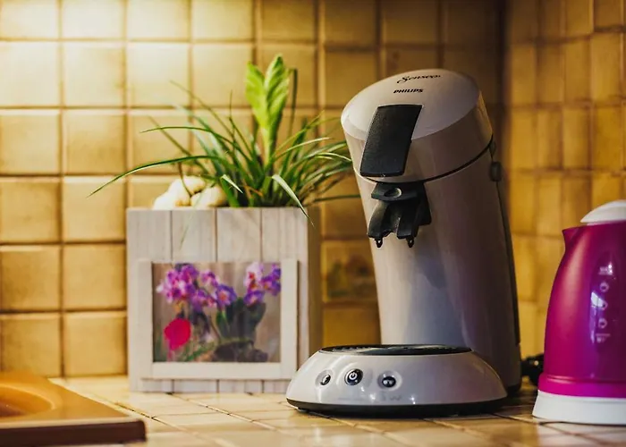 Maison 3 Etoiles Entre Pistes Et Centre-ville, Billiard, Ping-pong, Ps3, Cheminee, Bbq, Animaux Admis Holiday home La Bresse