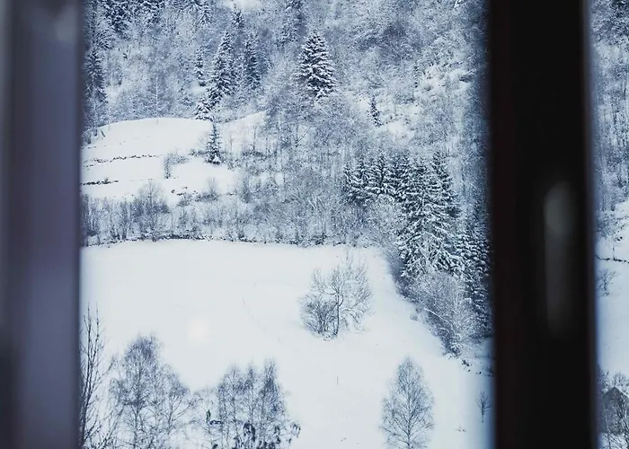 Holiday home Maison 3 Etoiles Entre Pistes Et Centre-ville, Billiard, Ping-pong, Ps3, Cheminee, Bbq, Animaux Admis La Bresse