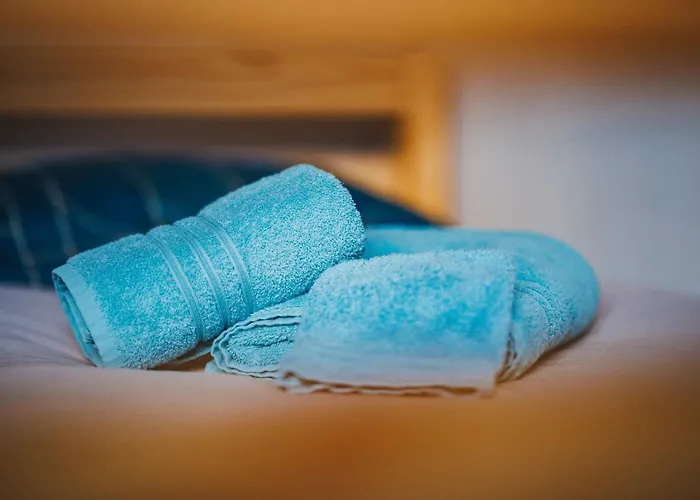 Maison 3 Etoiles Entre Pistes Et Centre-ville, Billiard, Ping-pong, Ps3, Cheminee, Bbq, Animaux Admis * La Bresse