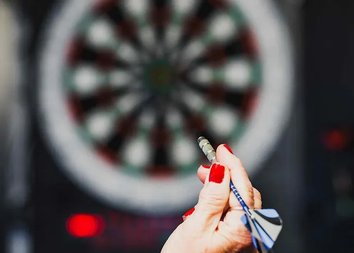 Holiday home Maison 3 Etoiles Entre Pistes Et Centre-ville, Billiard, Ping-pong, Ps3, Cheminee, Bbq, Animaux Admis La Bresse