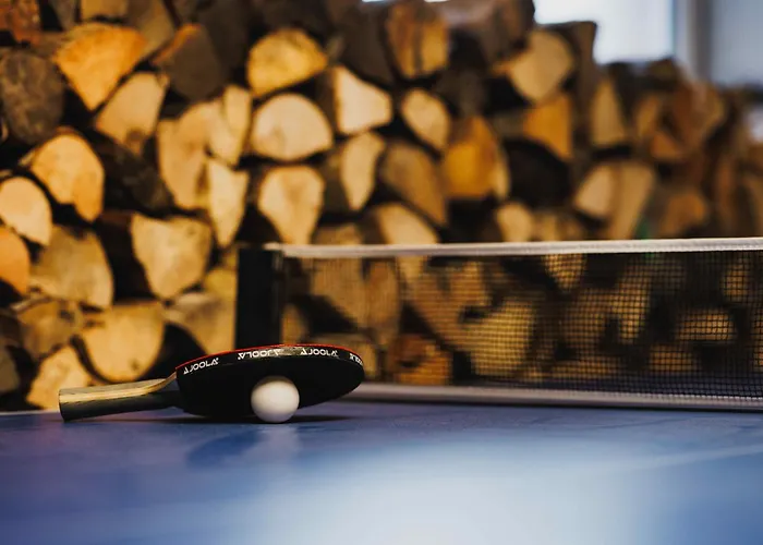 Holiday home Maison 3 Etoiles Entre Pistes Et Centre-ville, Billiard, Ping-pong, Ps3, Cheminee, Bbq, Animaux Admis La Bresse