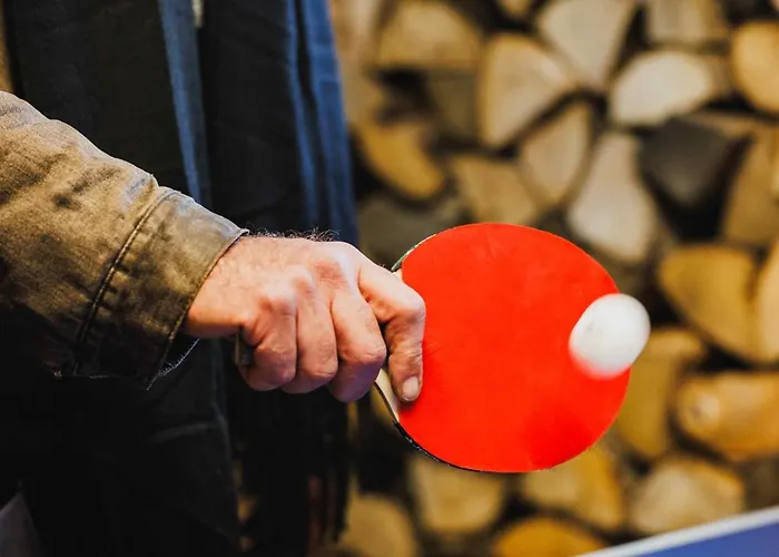 Holiday home Maison 3 Etoiles Entre Pistes Et Centre-ville, Billiard, Ping-pong, Ps3, Cheminee, Bbq, Animaux Admis La Bresse