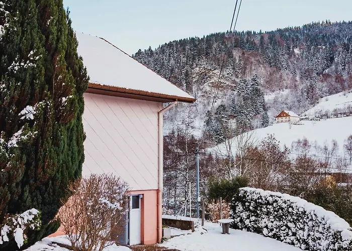 Maison 3 Etoiles Entre Pistes Et Centre-ville, Billiard, Ping-pong, Ps3, Cheminee, Bbq, Animaux Admis Holiday home