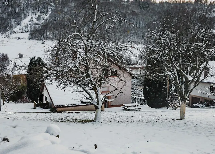 Maison 3 Etoiles Entre Pistes Et Centre-ville, Billiard, Ping-pong, Ps3, Cheminee, Bbq, Animaux Admis *