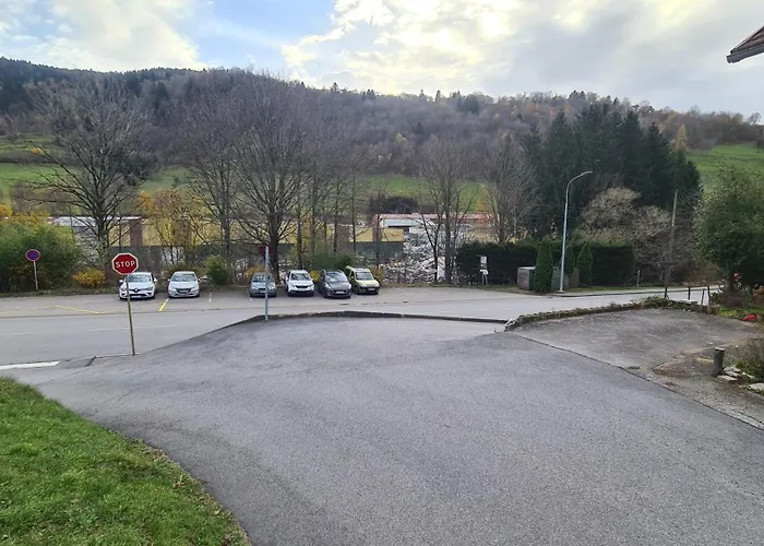 Maison 3 Etoiles Entre Pistes Et Centre-ville, Billiard, Ping-pong, Ps3, Cheminee, Bbq, Animaux Admis Holiday home La Bresse