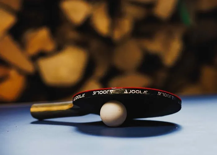 Maison 3 Etoiles Entre Pistes Et Centre-ville, Billiard, Ping-pong, Ps3, Cheminee, Bbq, Animaux Admis Holiday home