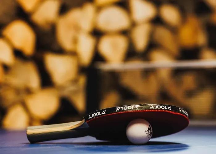 Holiday home Maison 3 Etoiles Entre Pistes Et Centre-ville, Billiard, Ping-pong, Ps3, Cheminee, Bbq, Animaux Admis *